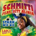 27-12-2013 - Schmitti - bemusterung Fussball_Deutschland.jpg